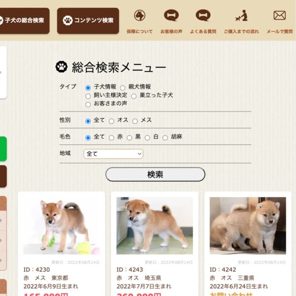 ecommerce